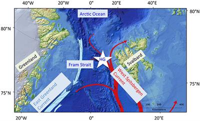 Models of Plankton Community Changes during a Warm Water Anomaly in Arctic Waters Show Altered Trophic Pathways with Minimal Changes in Carbon Export